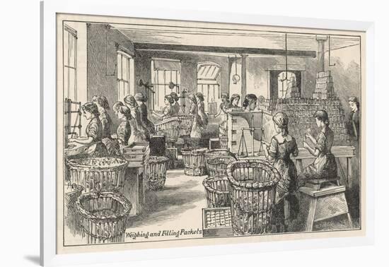Women Weighing Chocolate and Filling Packets in the Fry's Chocolate Factory in Bristol-null-Framed Art Print