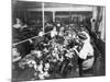 Women Working in a Teddy Bear Factory Photograph-Lantern Press-Mounted Art Print