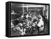 Women Working in a Teddy Bear Factory Photograph-Lantern Press-Framed Stretched Canvas