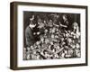 Women Working in Toy Factory-Margaret Bourke-White-Framed Photographic Print