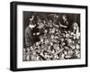 Women Working in Toy Factory-Margaret Bourke-White-Framed Photographic Print