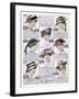 Womens Hats 1916-null-Framed Art Print