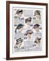 Womens Hats 1916-null-Framed Art Print