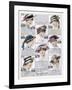 Womens Hats 1916-null-Framed Art Print