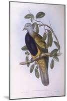 Wompoo Fruit-Dove (Ptilinopus Magnificus)-John Gould-Mounted Giclee Print