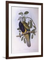 Wompoo Fruit-Dove (Ptilinopus Magnificus)-John Gould-Framed Giclee Print