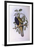 Wompoo Fruit-Dove (Ptilinopus Magnificus)-John Gould-Framed Giclee Print