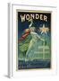 Wonder, Cycles et Pieces Detachees, circa 1910-null-Framed Giclee Print