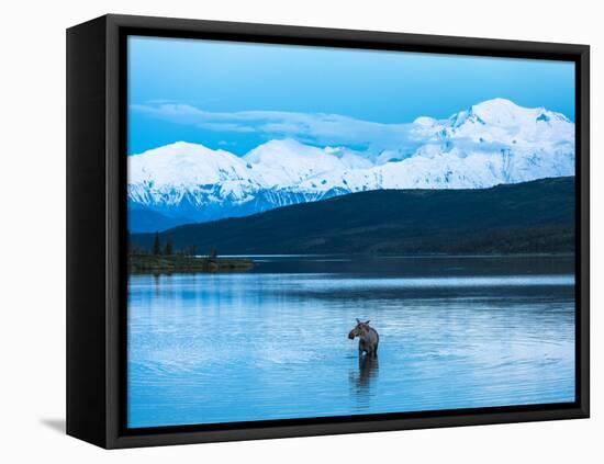 Wonder Lake in Denali National Park, Alaska.-Howard Newcomb-Framed Stretched Canvas