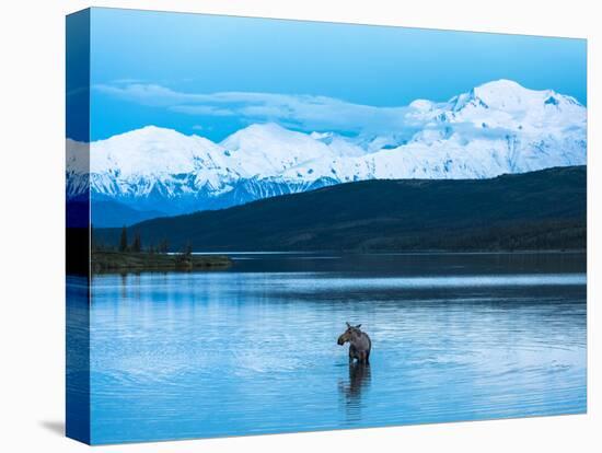 Wonder Lake in Denali National Park, Alaska.-Howard Newcomb-Stretched Canvas