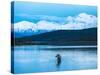 Wonder Lake in Denali National Park, Alaska.-Howard Newcomb-Stretched Canvas