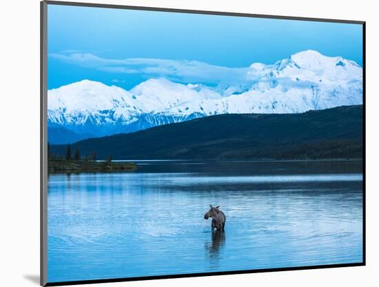 Wonder Lake in Denali National Park, Alaska.-Howard Newcomb-Mounted Photographic Print