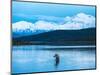 Wonder Lake in Denali National Park, Alaska.-Howard Newcomb-Mounted Photographic Print