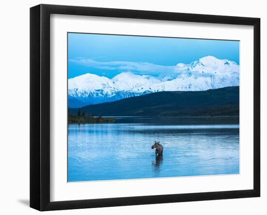 Wonder Lake in Denali National Park, Alaska.-Howard Newcomb-Framed Photographic Print