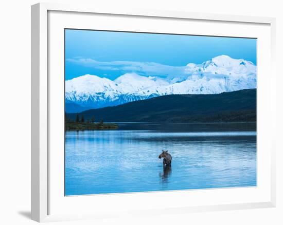 Wonder Lake in Denali National Park, Alaska.-Howard Newcomb-Framed Photographic Print