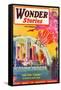 Wonder Stories, NY Dome-Frank R Paul-Framed Stretched Canvas