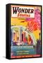 Wonder Stories, NY Dome-Frank R Paul-Framed Stretched Canvas