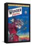 Wonder Stories-null-Framed Stretched Canvas