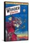 Wonder Stories-null-Framed Stretched Canvas