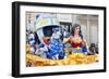 Wonder Woman Float For Mardi Gras-Carol Highsmith-Framed Art Print