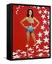 Wonder Woman - Lynda Carter-null-Framed Stretched Canvas