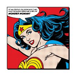 affordable wonder woman comic
