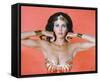 Wonder Woman-null-Framed Stretched Canvas