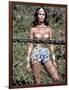 Wonder Woman-null-Framed Photo