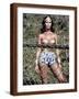 Brown Frame