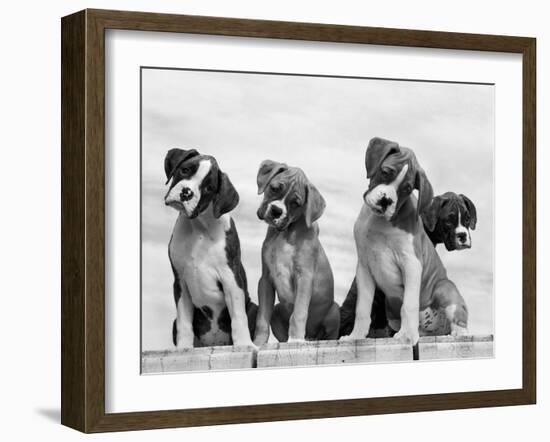 Wonder-Sharon Beals-Framed Photographic Print