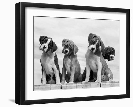 Wonder-Sharon Beals-Framed Photographic Print