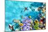 Wonderful and Beautiful Underwater World with Corals and Tropical Fish.-Brian Kinney-Mounted Photographic Print