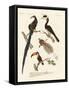 Wonderful Birds-null-Framed Stretched Canvas