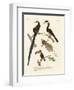 Wonderful Birds-null-Framed Giclee Print