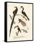 Wonderful Birds-null-Framed Stretched Canvas