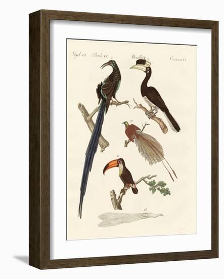 Wonderful Birds-null-Framed Giclee Print