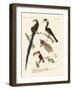 Wonderful Birds-null-Framed Giclee Print