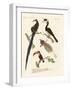 Wonderful Birds-null-Framed Giclee Print