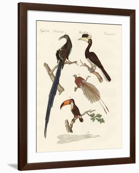 Wonderful Birds-null-Framed Giclee Print