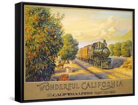 Wonderful Califonia-Kerne Erickson-Framed Stretched Canvas