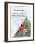 Wonderful Cardinal-Kimberly Allen-Framed Art Print