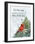 Wonderful Cardinal-Kimberly Allen-Framed Art Print