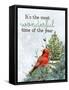 Wonderful Cardinal-Kimberly Allen-Framed Stretched Canvas