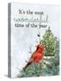 Wonderful Cardinal-Kimberly Allen-Stretched Canvas