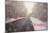 Wonderful Christmas-Kelly Poynter-Mounted Photographic Print