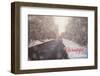 Wonderful Christmas-Kelly Poynter-Framed Photographic Print