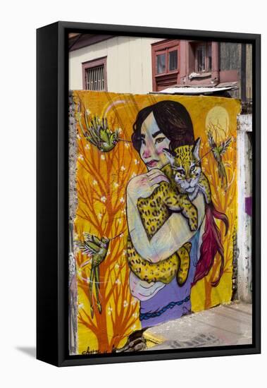 Wonderful Graffiti, Valparaiso, Chile-Peter Groenendijk-Framed Stretched Canvas