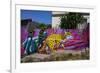 Wonderful Graffiti, Valparaiso, Chile-Peter Groenendijk-Framed Photographic Print