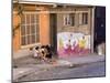 Wonderful Graffiti, Valparaiso, Chile-Peter Groenendijk-Mounted Photographic Print