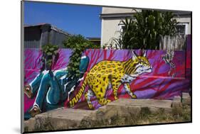 Wonderful Graffiti, Valparaiso, Chile-Peter Groenendijk-Mounted Photographic Print